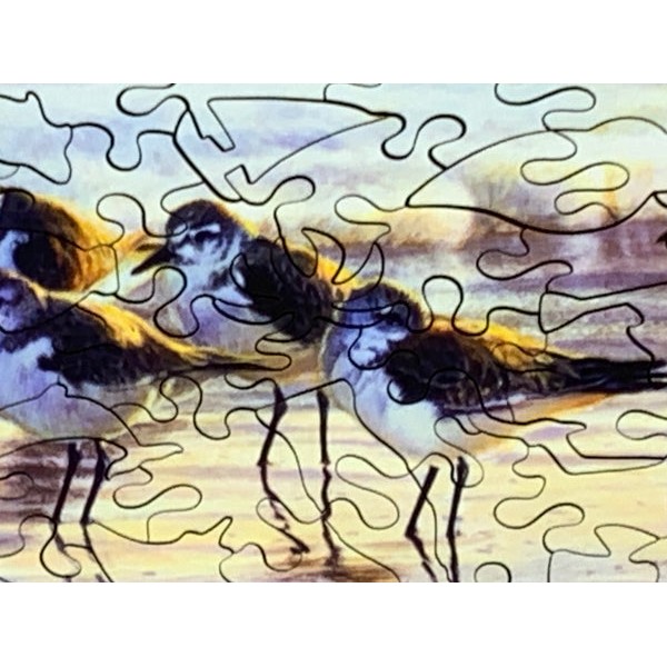 Shoreline Sandpipers (162 Piece Wooden Jigsaw Puzzle) UK