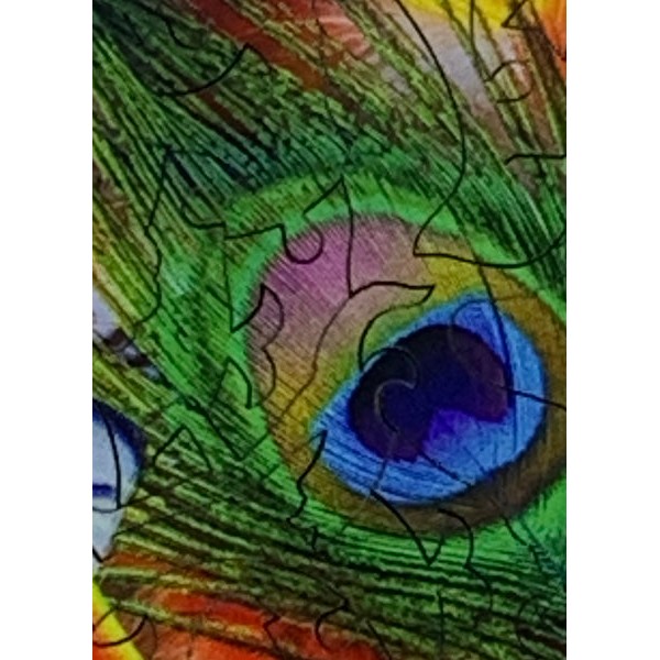 Tropical Feathers - 50 Piece MINI Wooden Jigsaw Puzzle UK