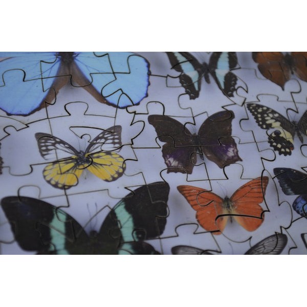 Butterfly Collection (77 Pieces) Mini Wooden Butterfly Puzzle UK