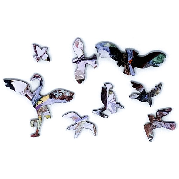 Field Birds (50 Piece Mini Wooden Jigsaw Puzzle) UK
