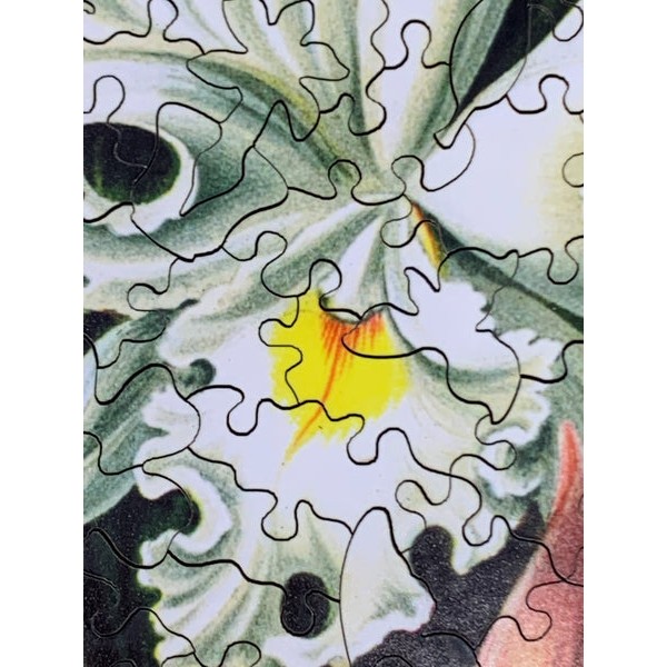 Haeckel's Orchids - 472 Piece Wooden Jigsaw Puzzle UK