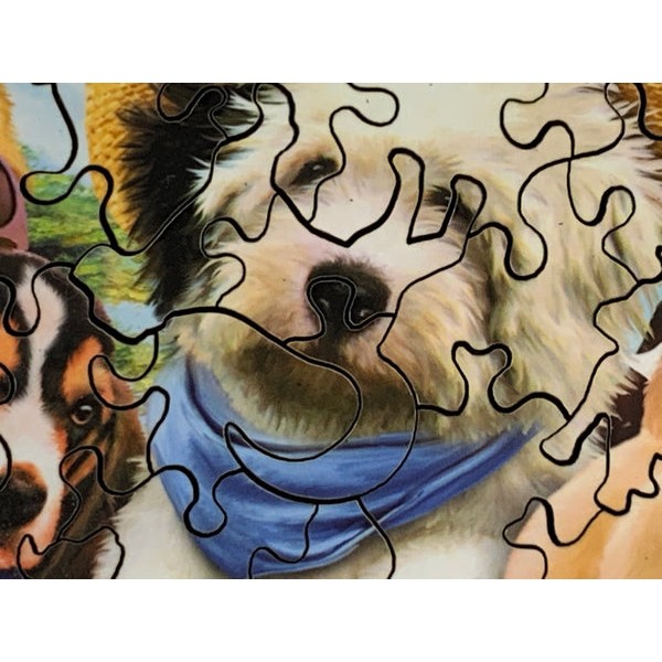Dogs in Togs (150 Piece Wooden Jigsaw Puzzle) UK