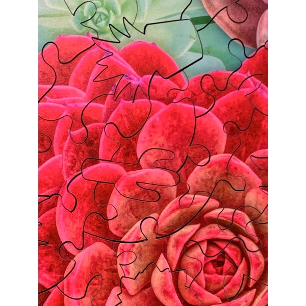 Succulent Love (201 Piece Wooden Jigsaw Puzzle UK