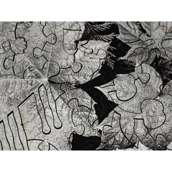 Leaves by Ansel Adams (50 Piece Mini Wooden Jigsaw Puzzle) UK