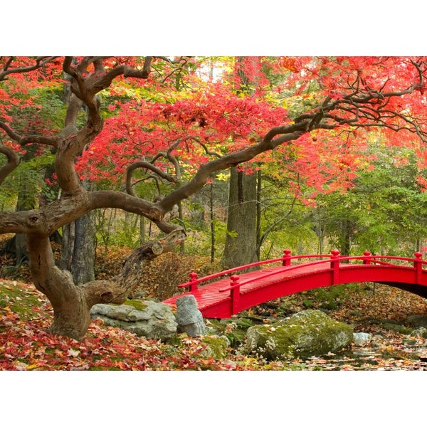 Maple Creek (385 Piece Wooden Jigsaw Puzzle) UK