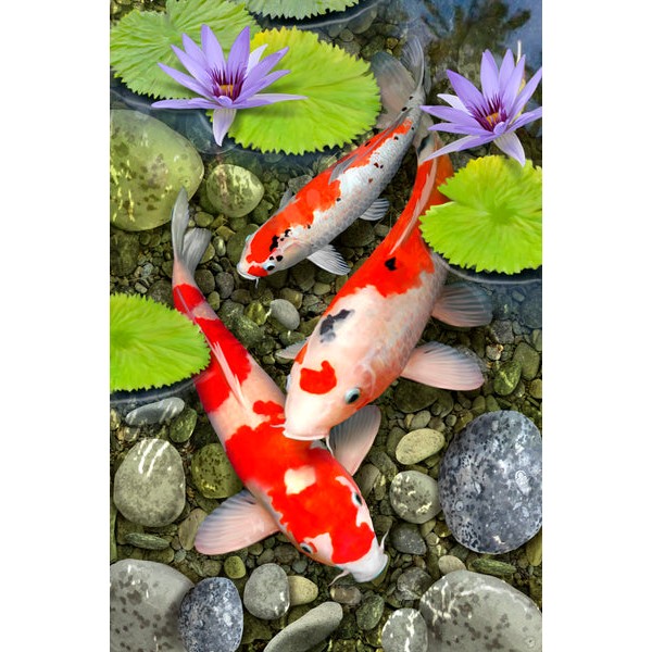 Koi Pond by Howard Robinson (400 Piece Wooden Jigsaw Puzzle) UK